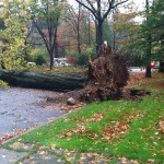 Hurricane Sandy Destruction 4